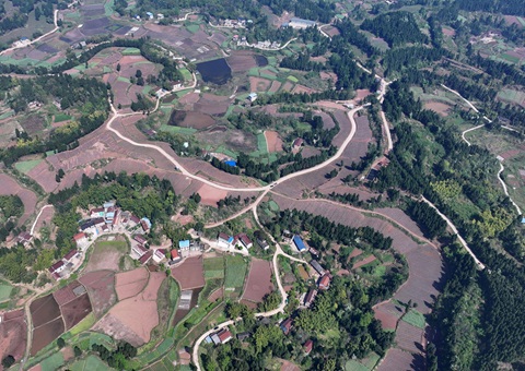 内江市东兴区局周全做好耕地保；； 全力做好用地包管