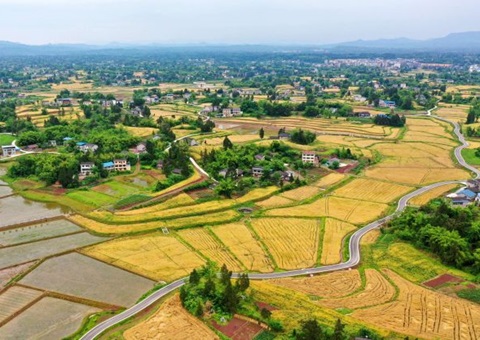 四川增强耕地调入流出治理&nbsp;&nbsp;确保实现稳固使用耕地面积净增添