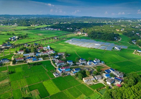 湖南：靶向发力盘活存量土地资产<br>为206家机关企事业单位定制处理方案，，，，，，盘活土地2.6万亩