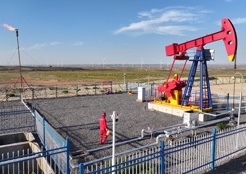 宁夏纵深推进新一轮找矿突破战略行动，，实验一批煤层气、页岩气、煤炭等勘查项目