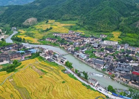 福建加速推动“农地入市” &nbsp;&nbsp;叫醒农村“甜睡”资产