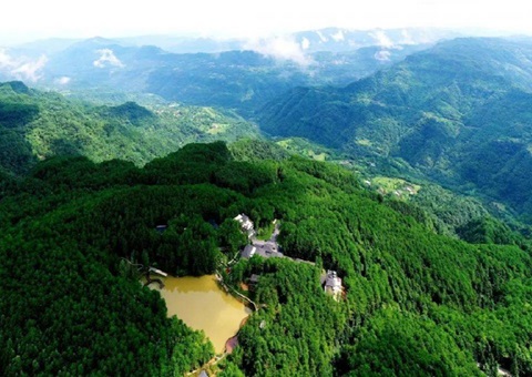 四川政银相助赋能“天府森林四库”建设