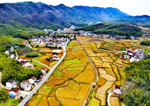 湖北试点涉农信用价值贷款