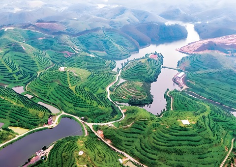 广东林业特色工业生长奖补项目实验持续推进