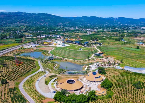 四川金堂：从“卖产品”到“卖风物”！墟落妄想铺路让橘香飘出新滋味